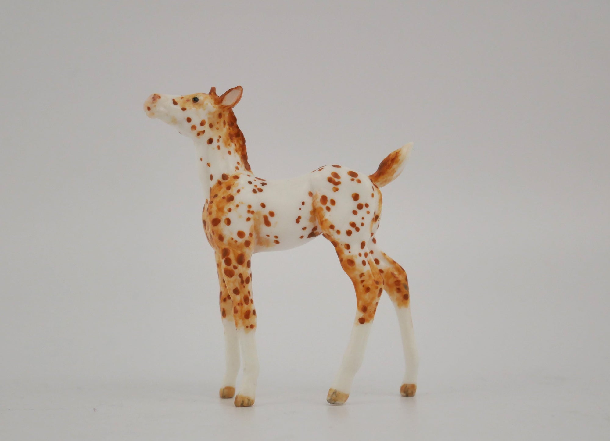 GINGER -OOAK CHESTNUT LEOPARD APPALOOSA FOAL BY ANDREA