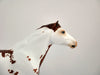 GINGERY-OOAK CHESTNUT PINTO MUSTANG