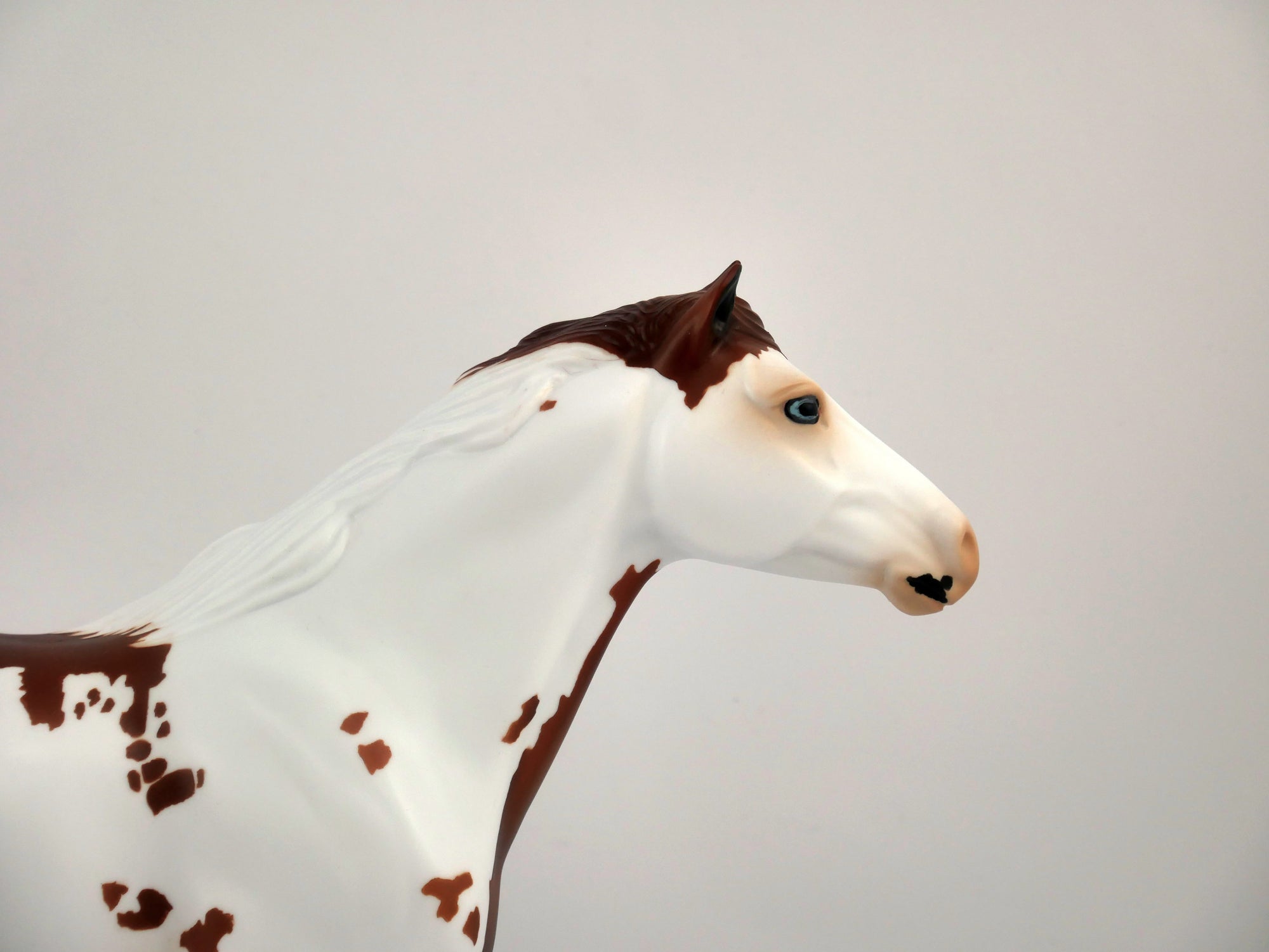 GINGERY-OOAK CHESTNUT PINTO MUSTANG