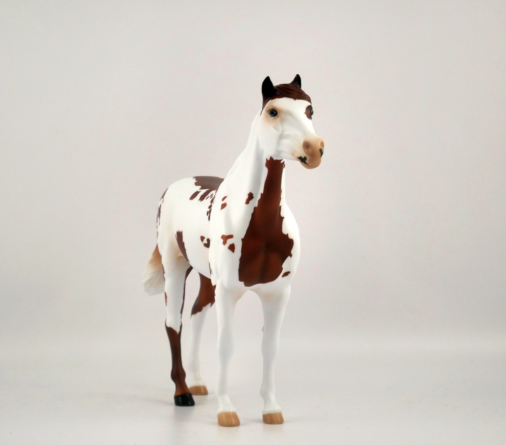 GINGERY-OOAK CHESTNUT PINTO MUSTANG