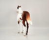 GINGERY-OOAK CHESTNUT PINTO MUSTANG