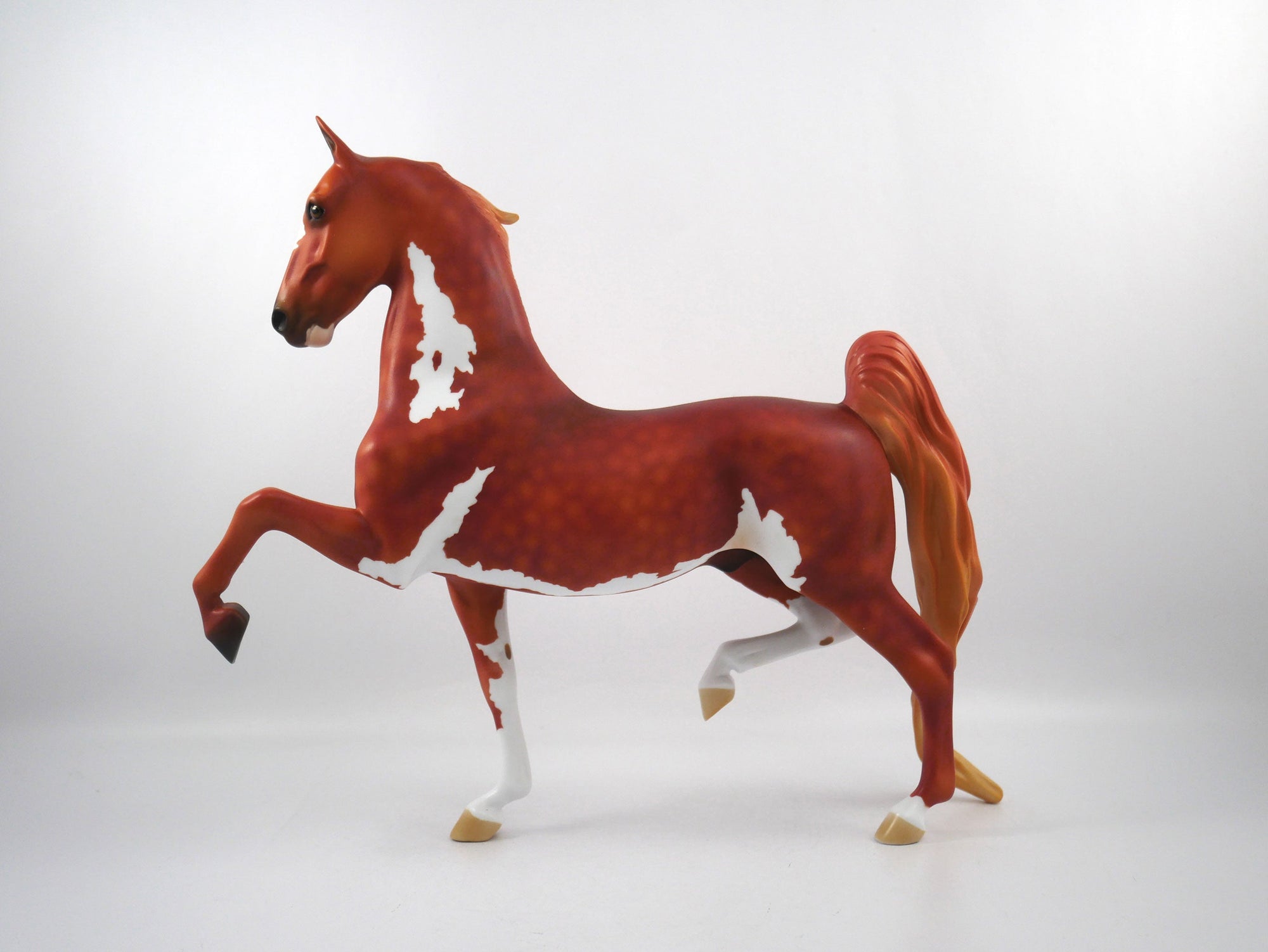 GOAL-OOAK Chestnut Paint Saddlebred  SB21