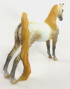 GOLDIE - OOAK GOLDEN LEOPARD APPY SADDLEBRED PEBBLE  BY AL KATT WHS19