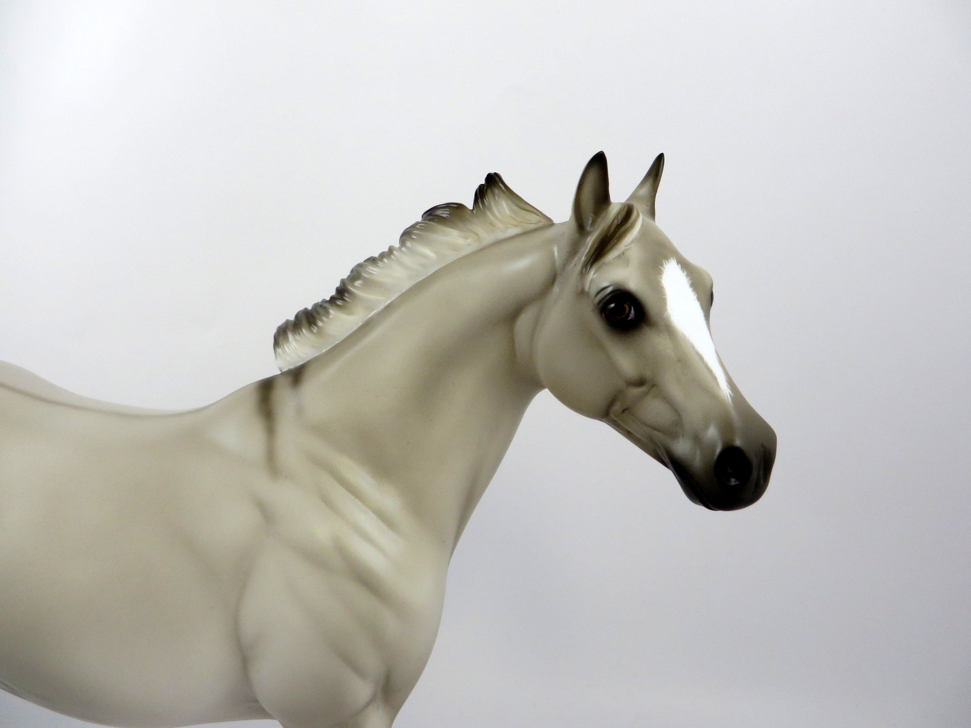 GORMEGHAST-OOAK PALE BUCKSKIN ISH BY SHERYL LEISURE EQ 2019