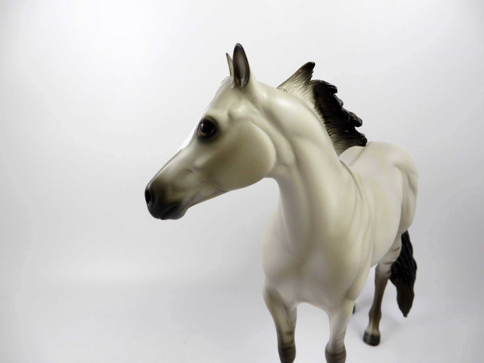 GORMEGHAST-OOAK PALE BUCKSKIN ISH BY SHERYL LEISURE EQ 2019