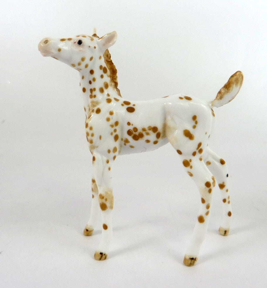 GOTSHALL - OOAK PALOMINO  APPY FOAL CHIP  BY ANDREA THOMASON WHS 19