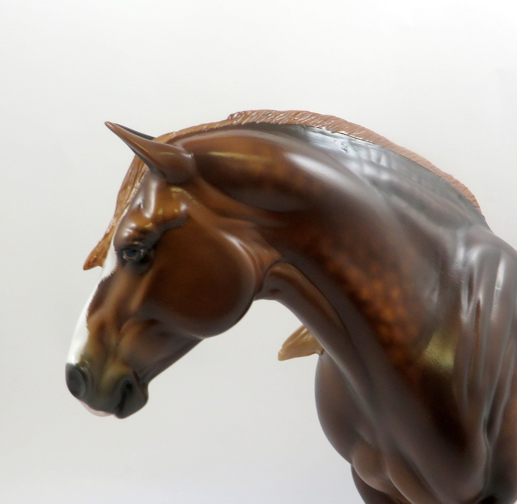 GOTTA GOOD FEELING-OOAK DAPPLE CHESTNUT HEAVY DRAFT MARE 6/24/19