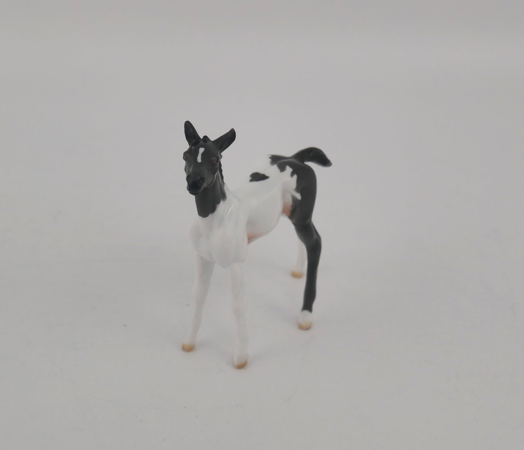 EQUILOCITY 2020 GRAB BAGS