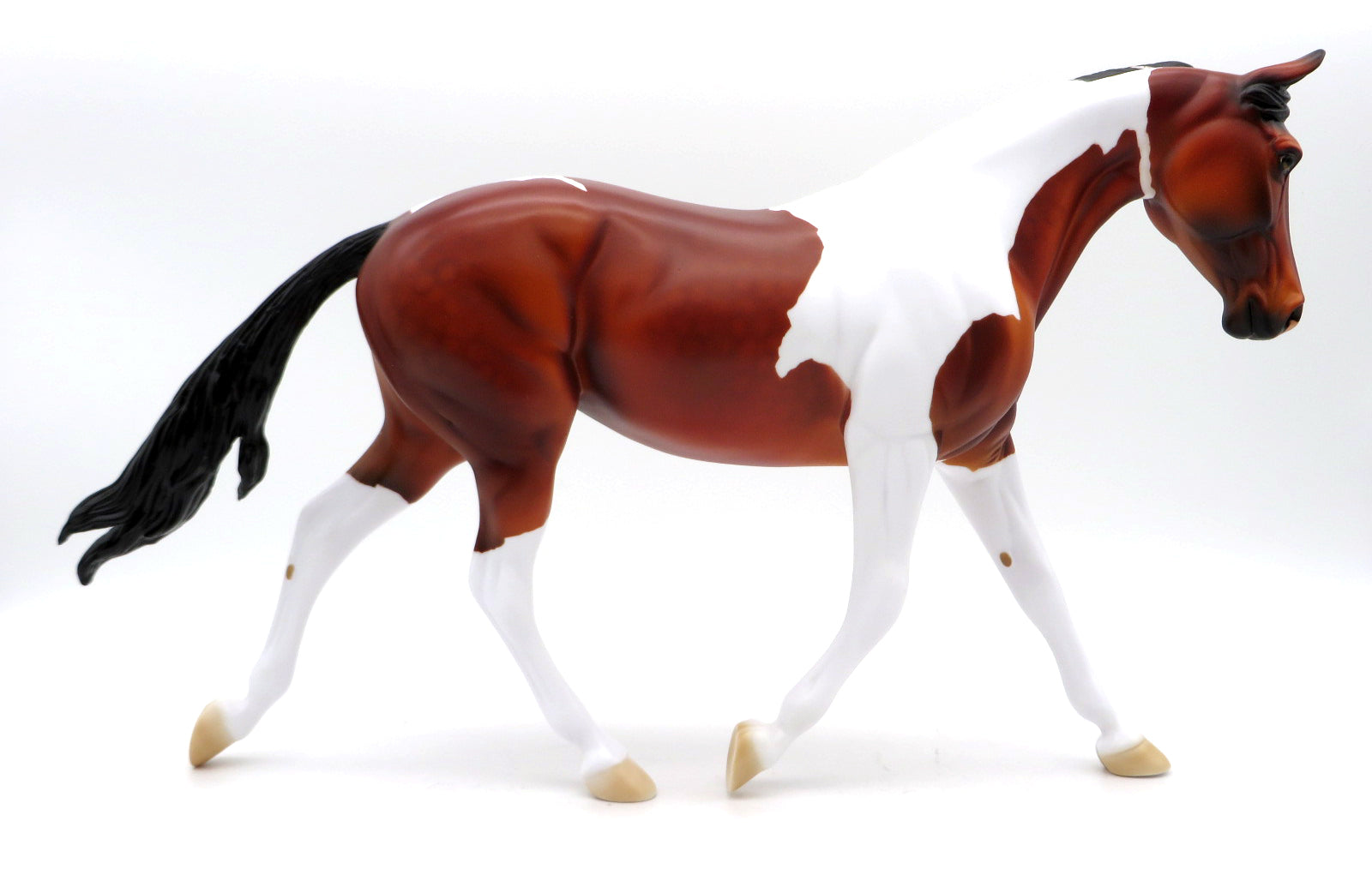 Gretel -- Bay Tobiano Palouse