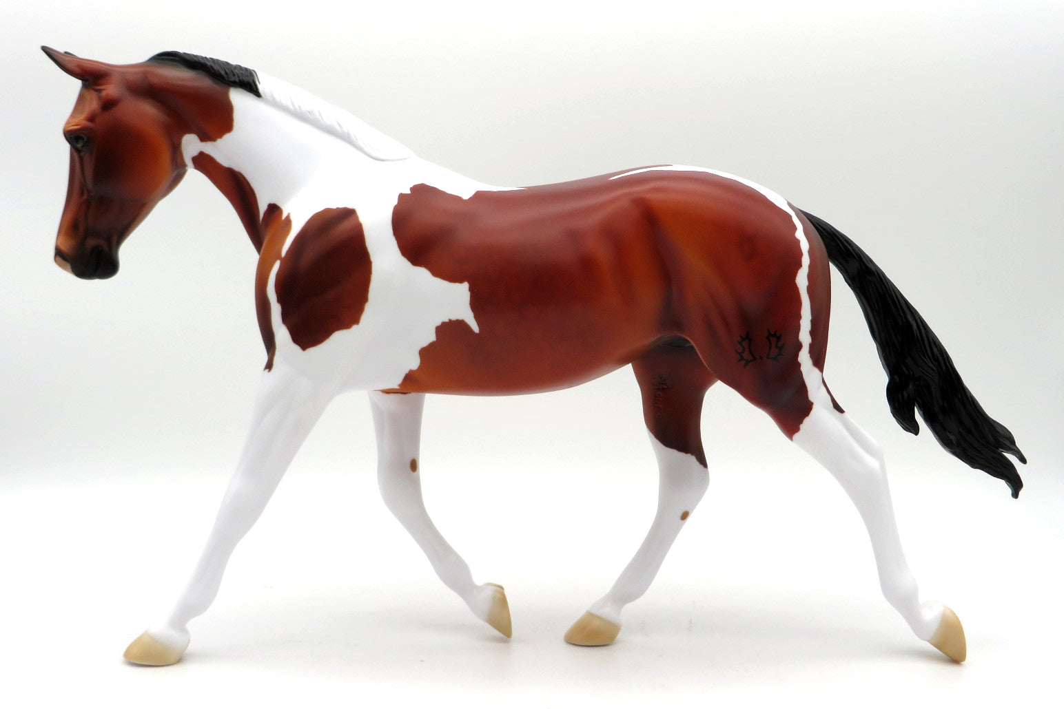 Gretel -- Bay Tobiano Palouse