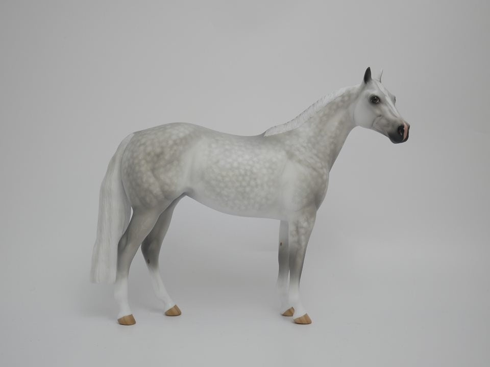 DAPPLE GREY 
