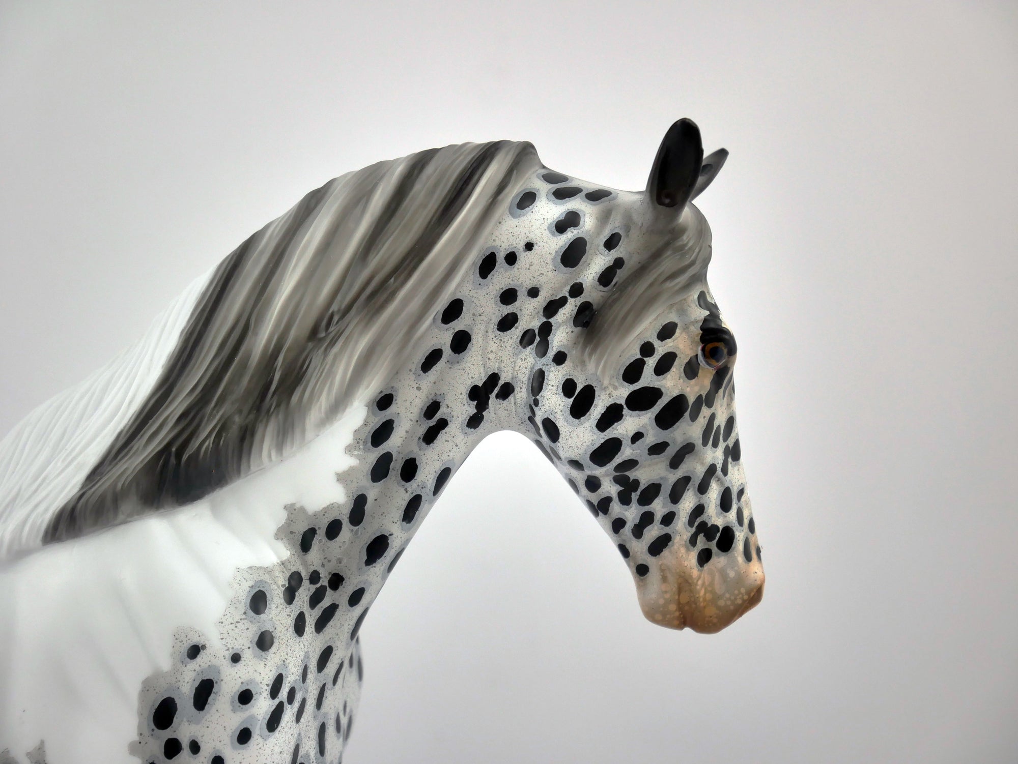 GRAY DAY-OOAK PINTALOOSA TENNESSEE WALKER BY AUDREY DIXON