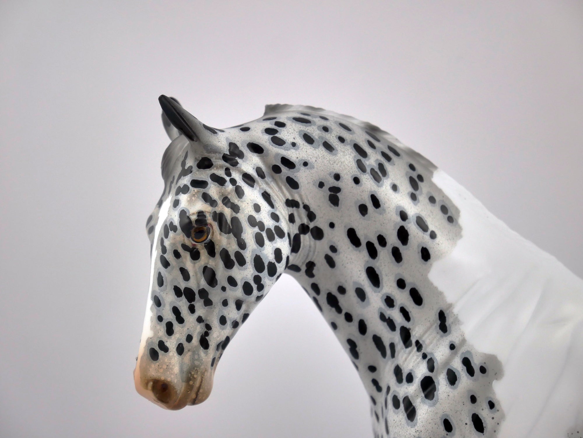 GRAY DAY-OOAK PINTALOOSA TENNESSEE WALKER BY AUDREY DIXON
