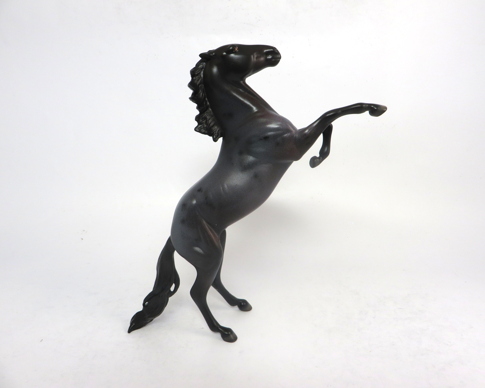 blue roan rearing pebbles