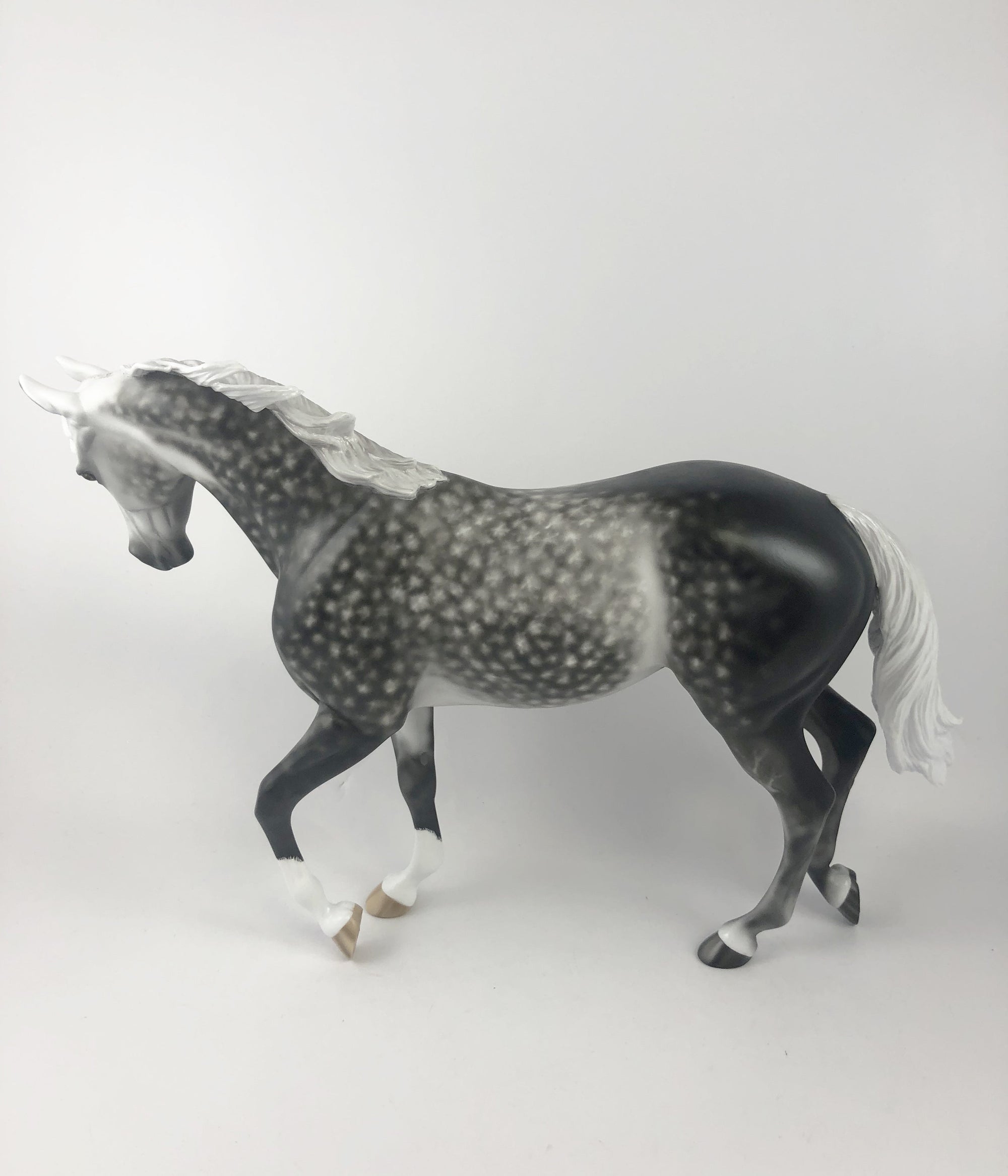 GUINESS-OOAK DAPPLE GREY TB MY SHERYL LEISURE MM19