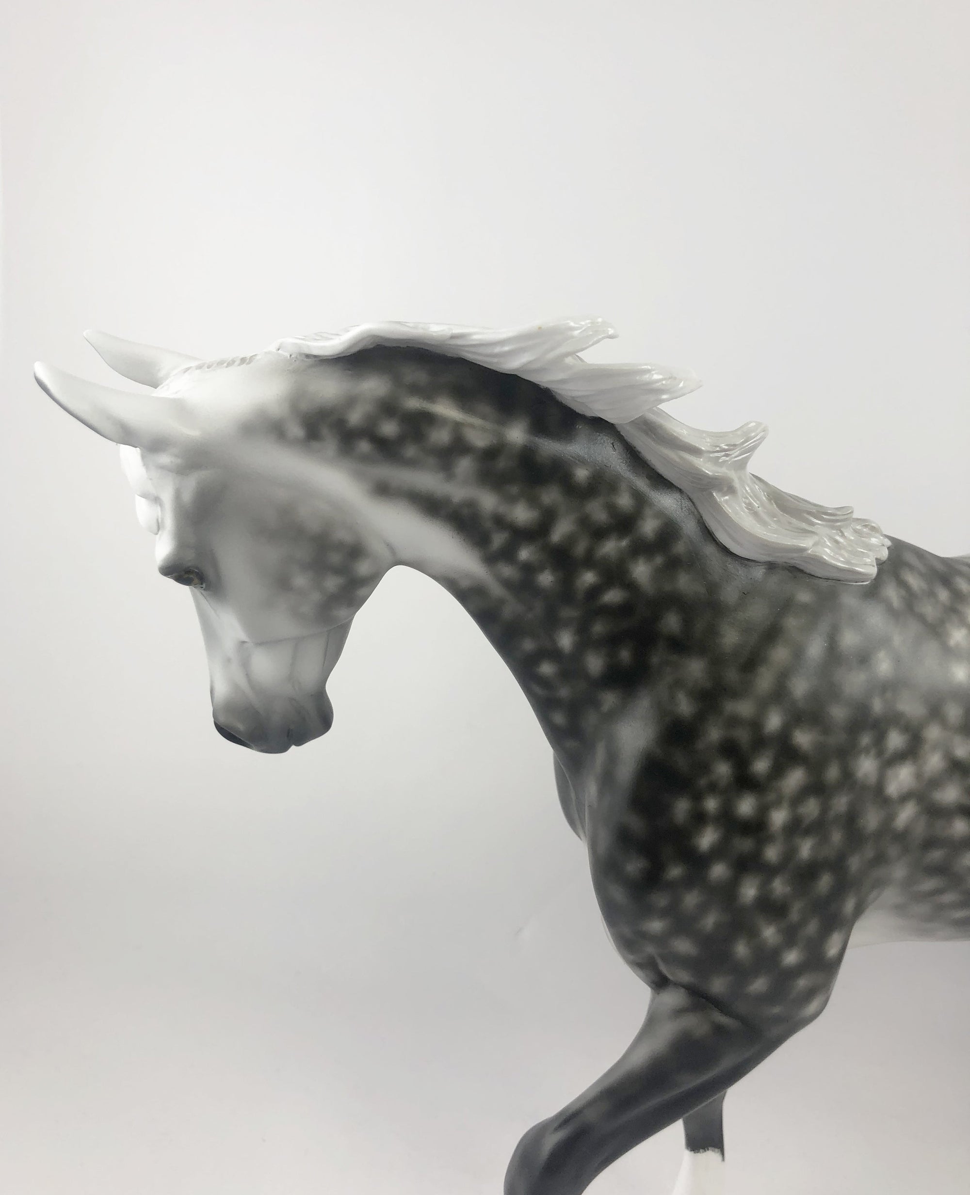 GUINESS-OOAK DAPPLE GREY TB MY SHERYL LEISURE MM19