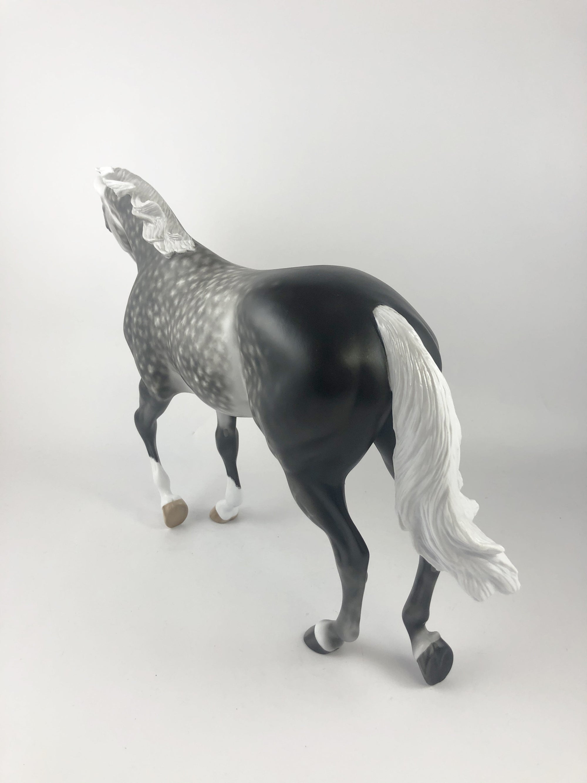 GUINESS-OOAK DAPPLE GREY TB MY SHERYL LEISURE MM19