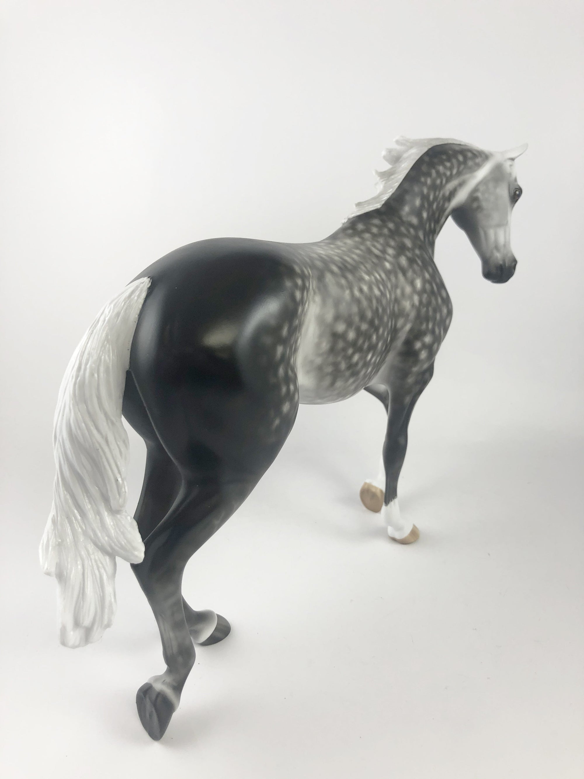 GUINESS-OOAK DAPPLE GREY TB MY SHERYL LEISURE MM19