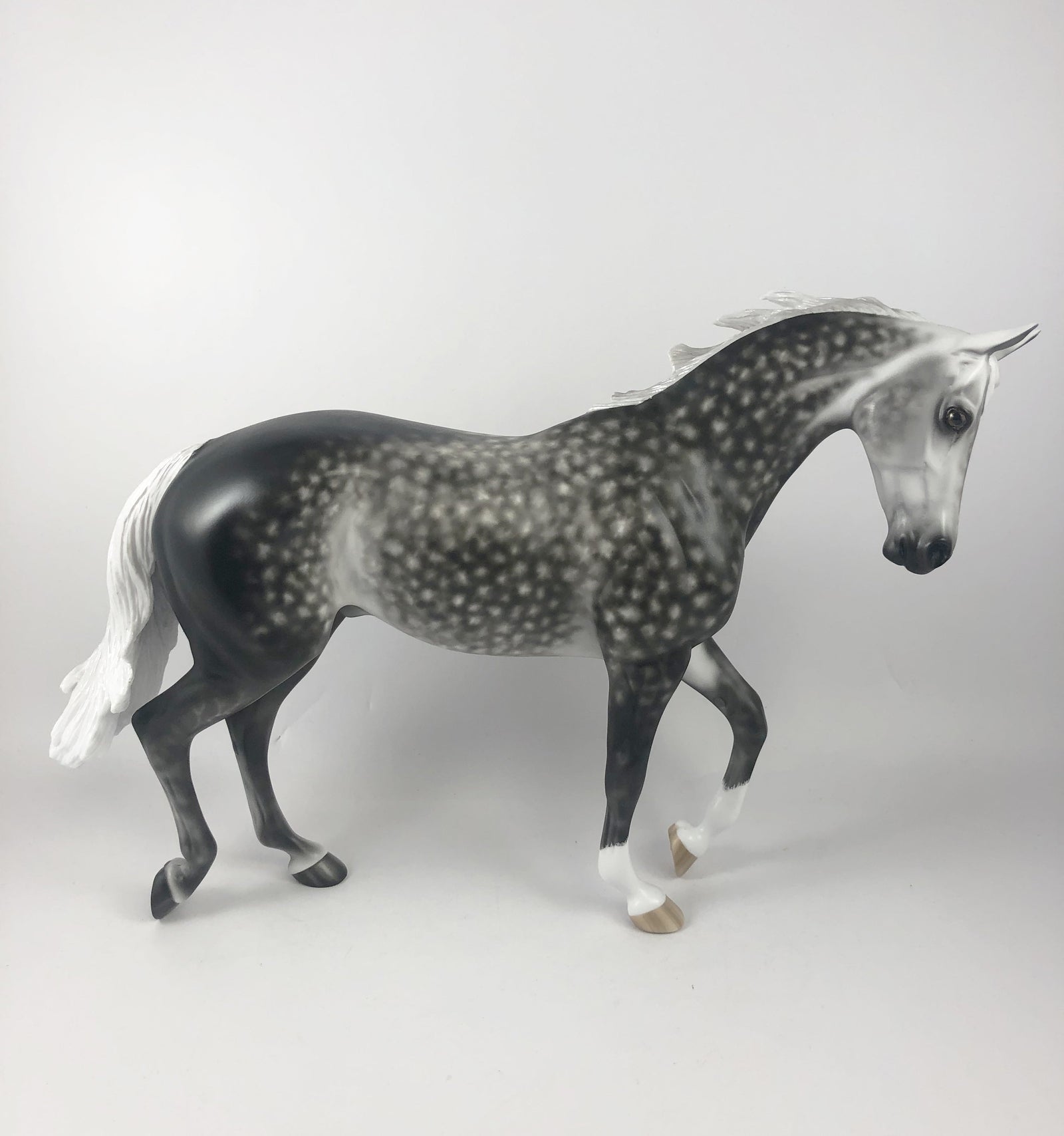 GUINESS-OOAK DAPPLE GREY TB MY SHERYL LEISURE MM19