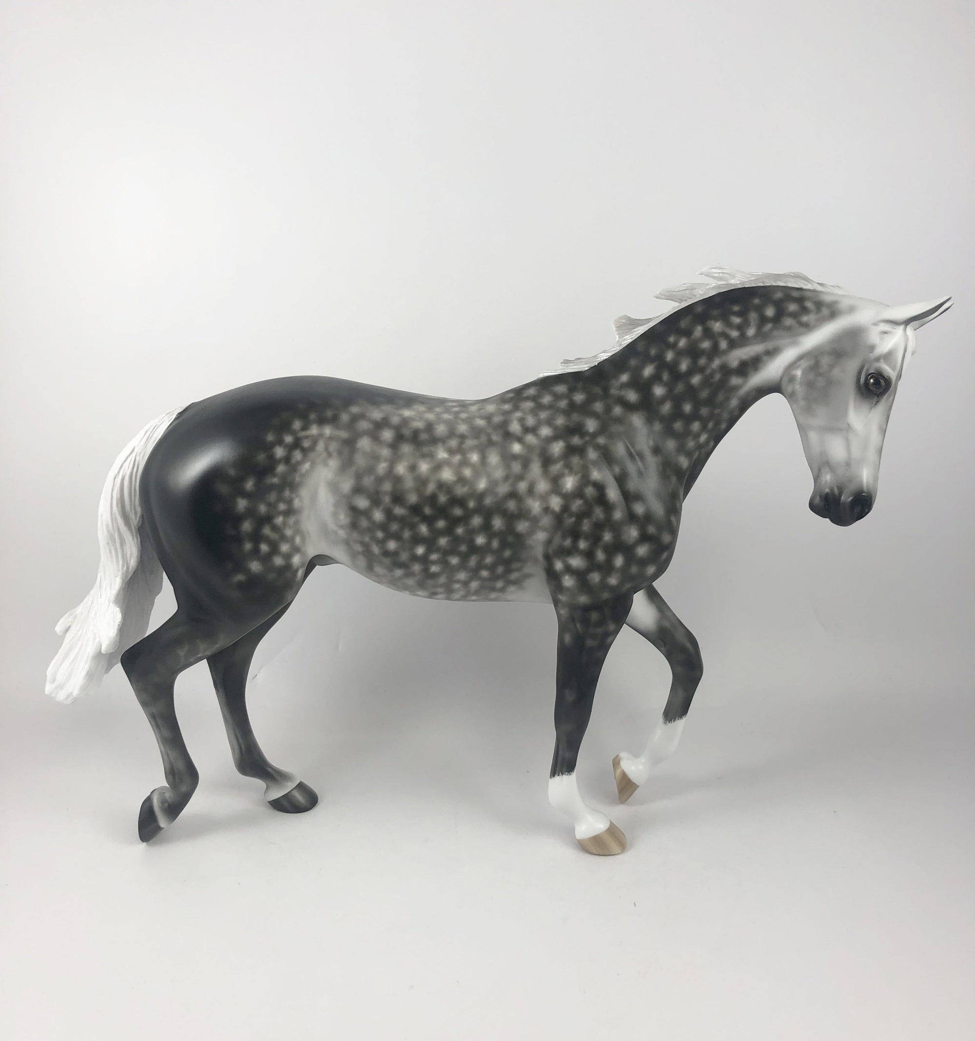 GUINESS-OOAK DAPPLE GREY TB MY SHERYL LEISURE MM19