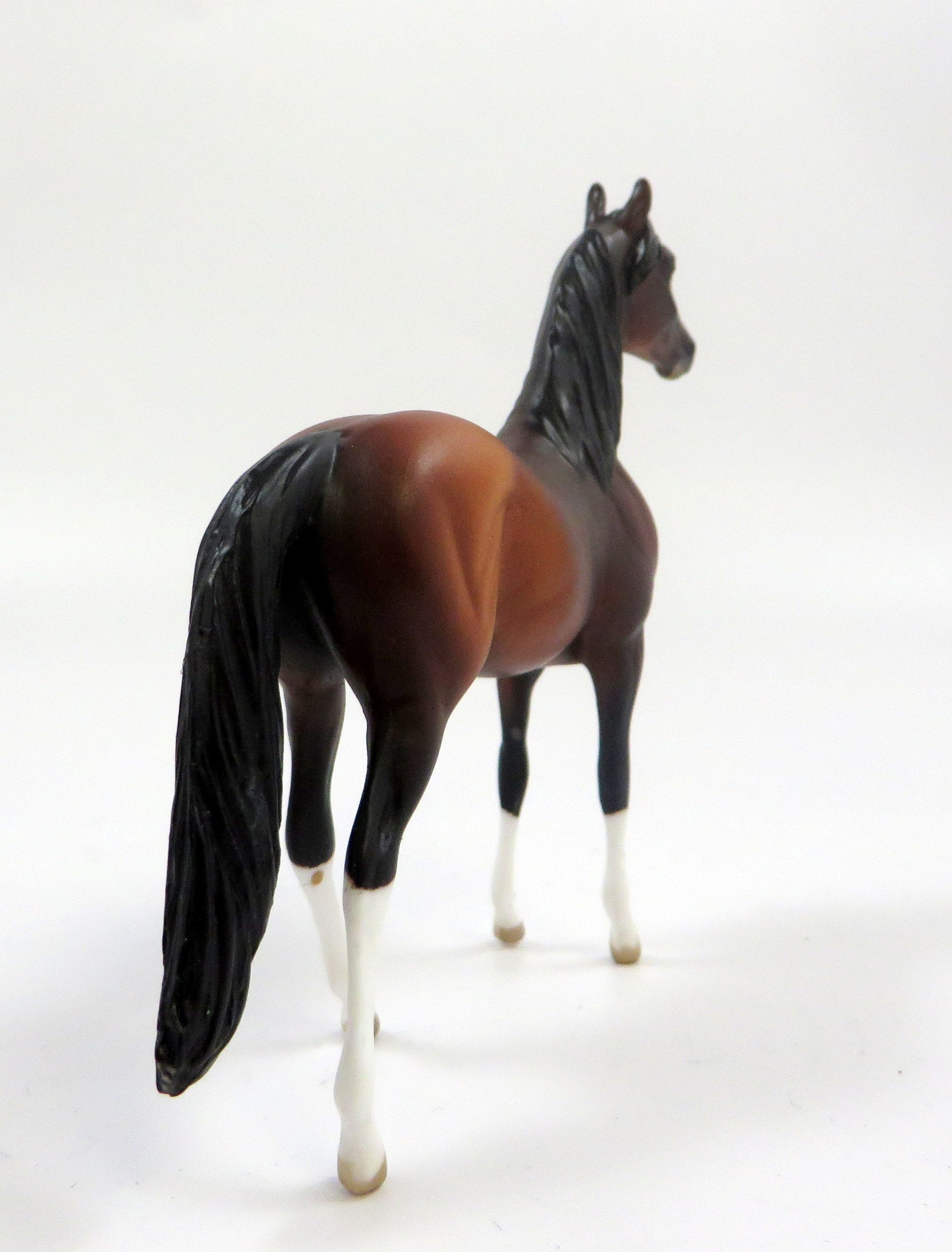 GUNN  -- OOAK BAY MORGAN  CHIP BY AUDREY DIXON EQ 19