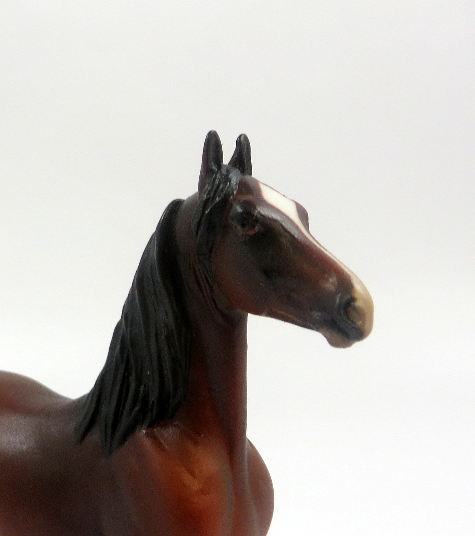 GUNN  -- OOAK BAY MORGAN  CHIP BY AUDREY DIXON EQ 19