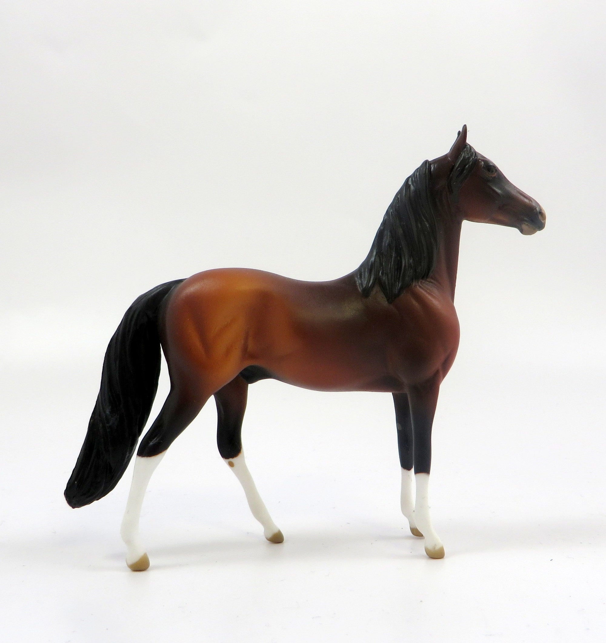 GUNN  -- OOAK BAY MORGAN  CHIP BY AUDREY DIXON EQ 19