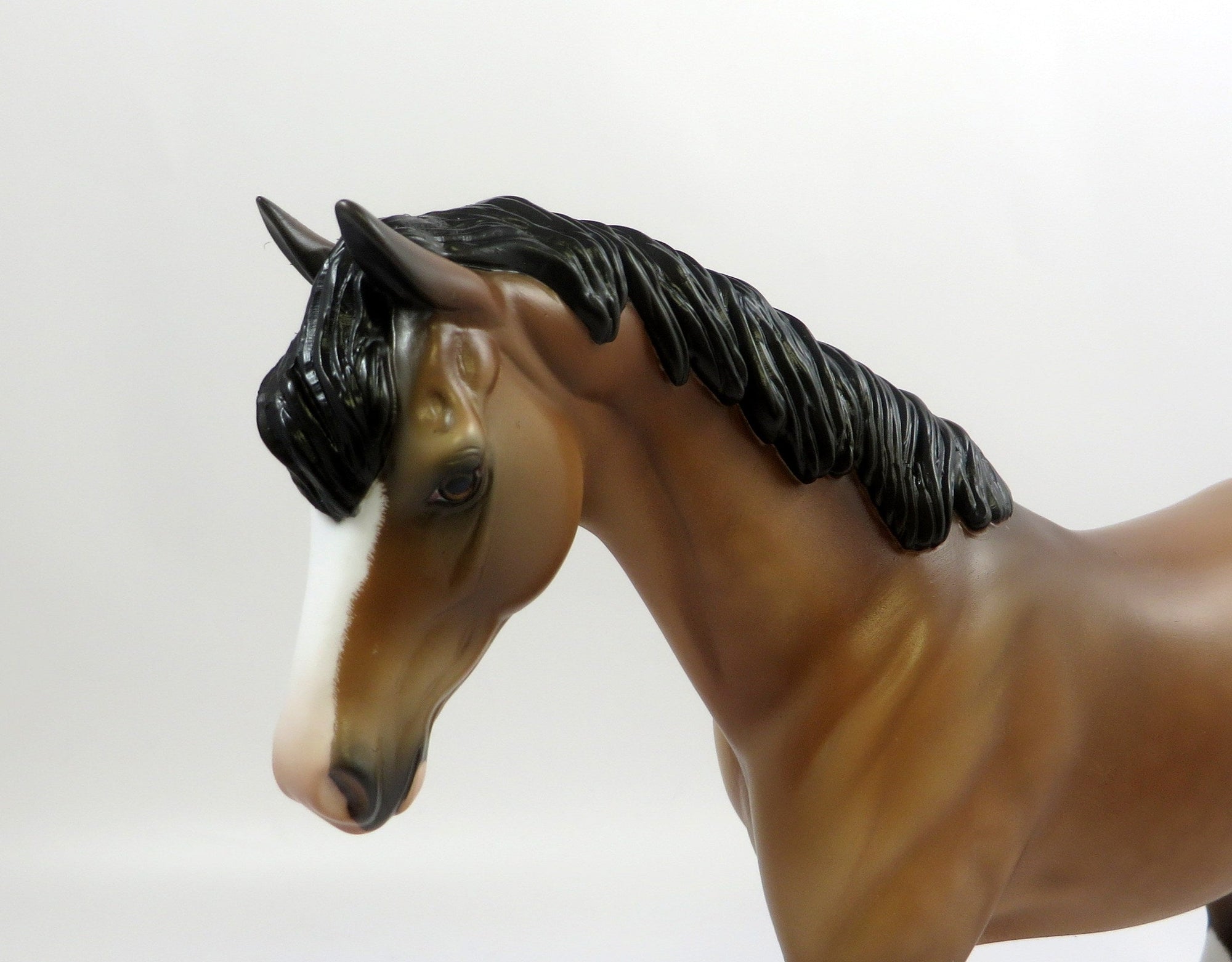 GUSTAVUS-OOAK BUCKSKIN PONY MODEL HORSE EQ 19