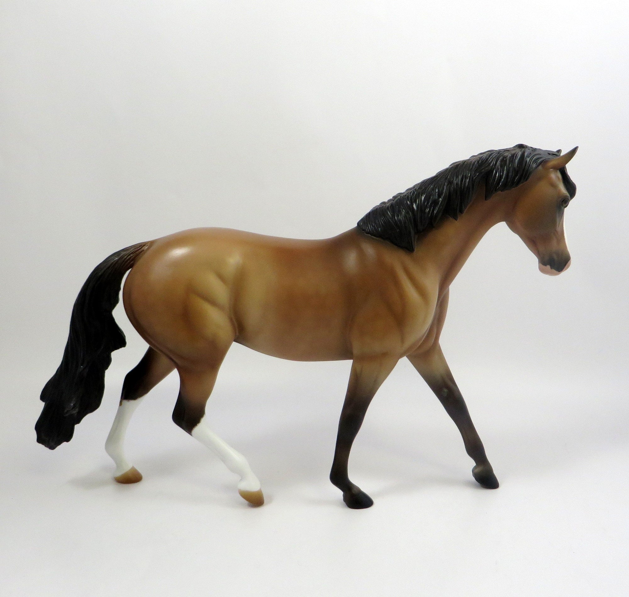 GUSTAVUS-OOAK BUCKSKIN PONY MODEL HORSE EQ 19