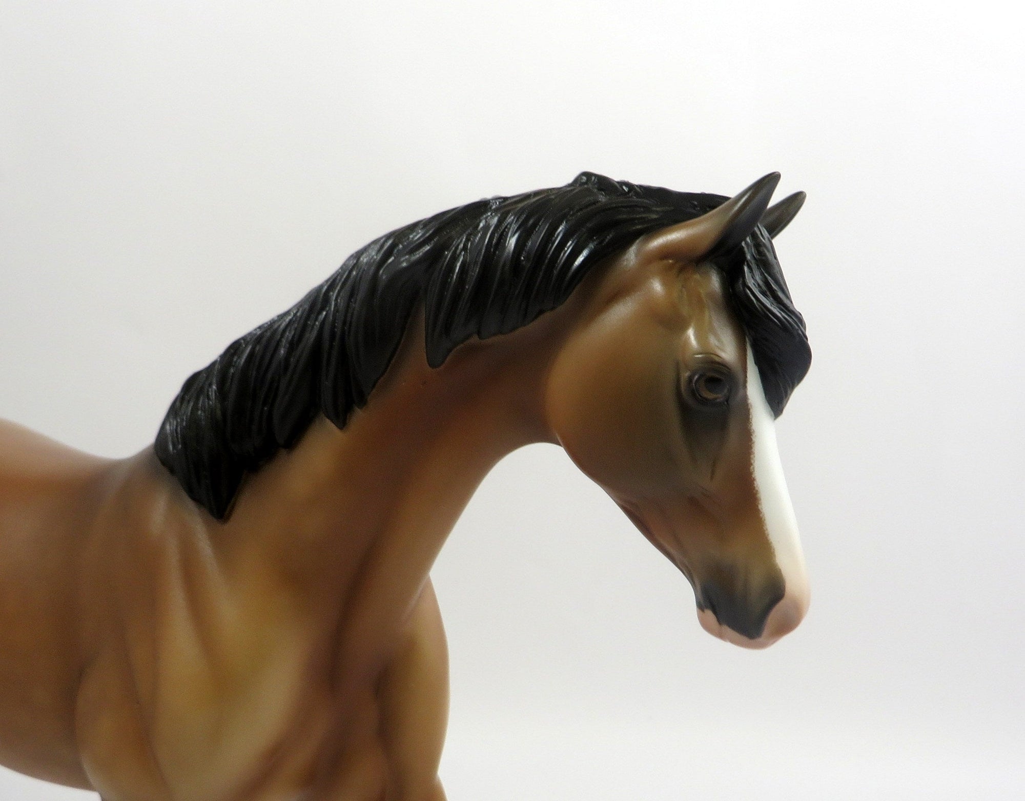 GUSTAVUS-OOAK BUCKSKIN PONY MODEL HORSE EQ 19