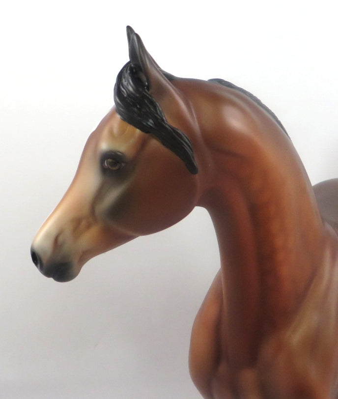 HAIL MARY-LE-5 DAPPLE BAY ARABIAN MARE MODEL HORSE SB 20