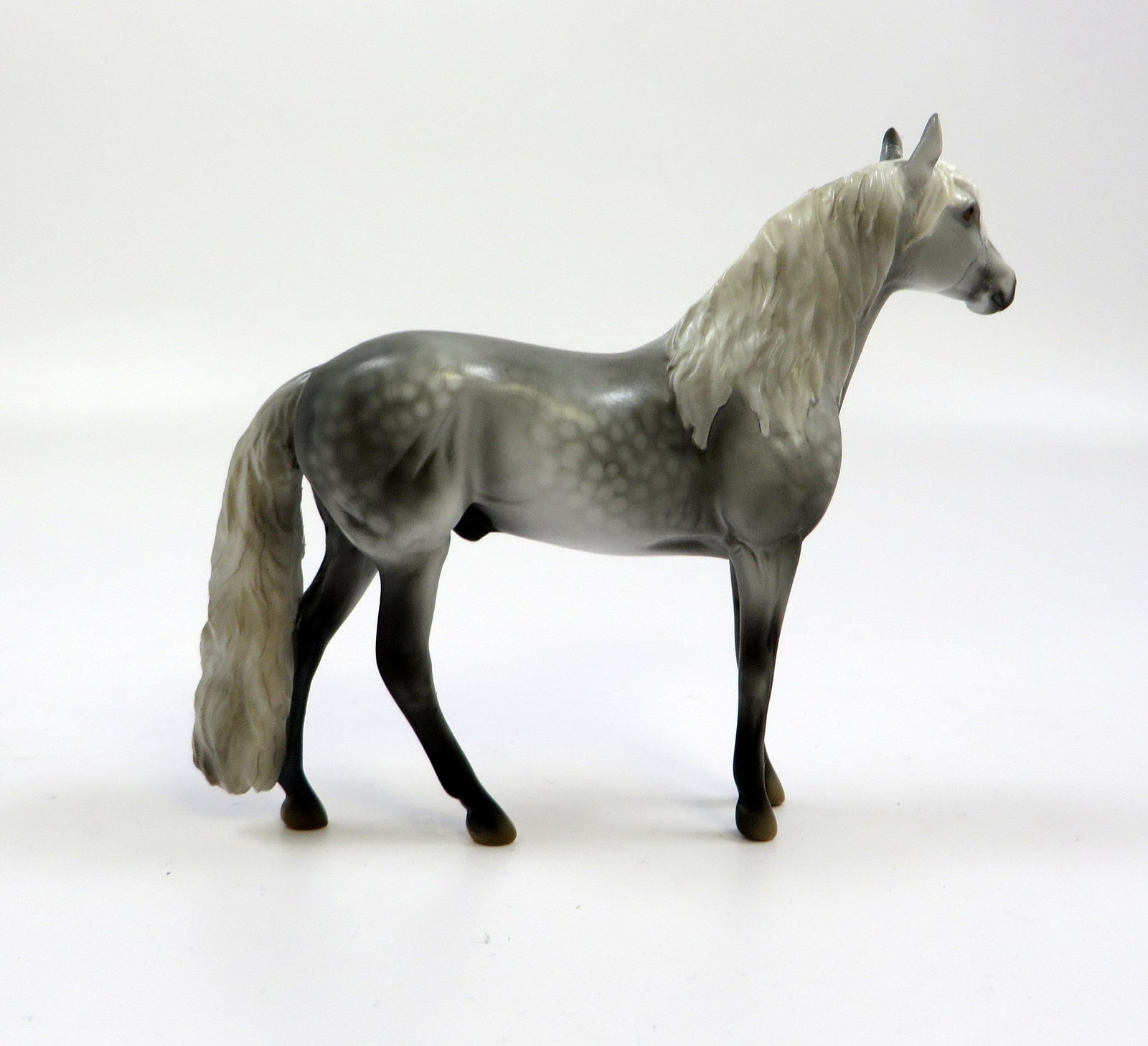 HAMMURABI -OOAK- DAPPLE GREY ANDALUSIAN CHIP BY MISSY FOX EQ19