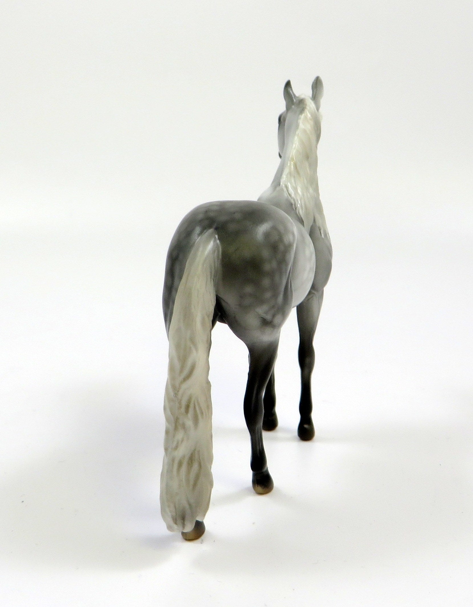 HAMMURABI -OOAK- DAPPLE GREY ANDALUSIAN CHIP BY MISSY FOX EQ19