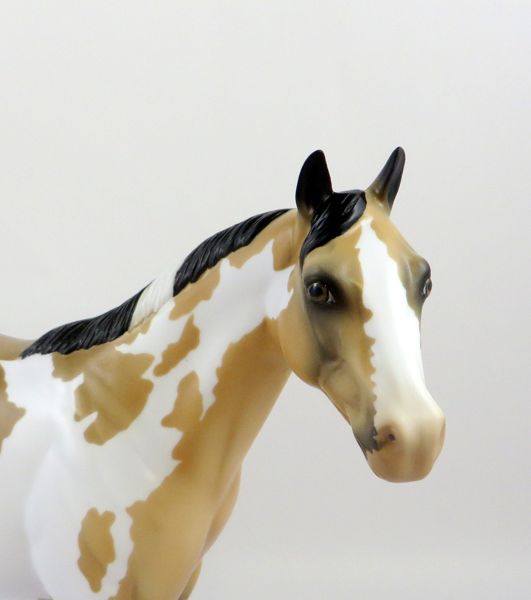 HAMON-OOAK BUCKSKIN OVERO ISH MODEL HORSE EQ 19