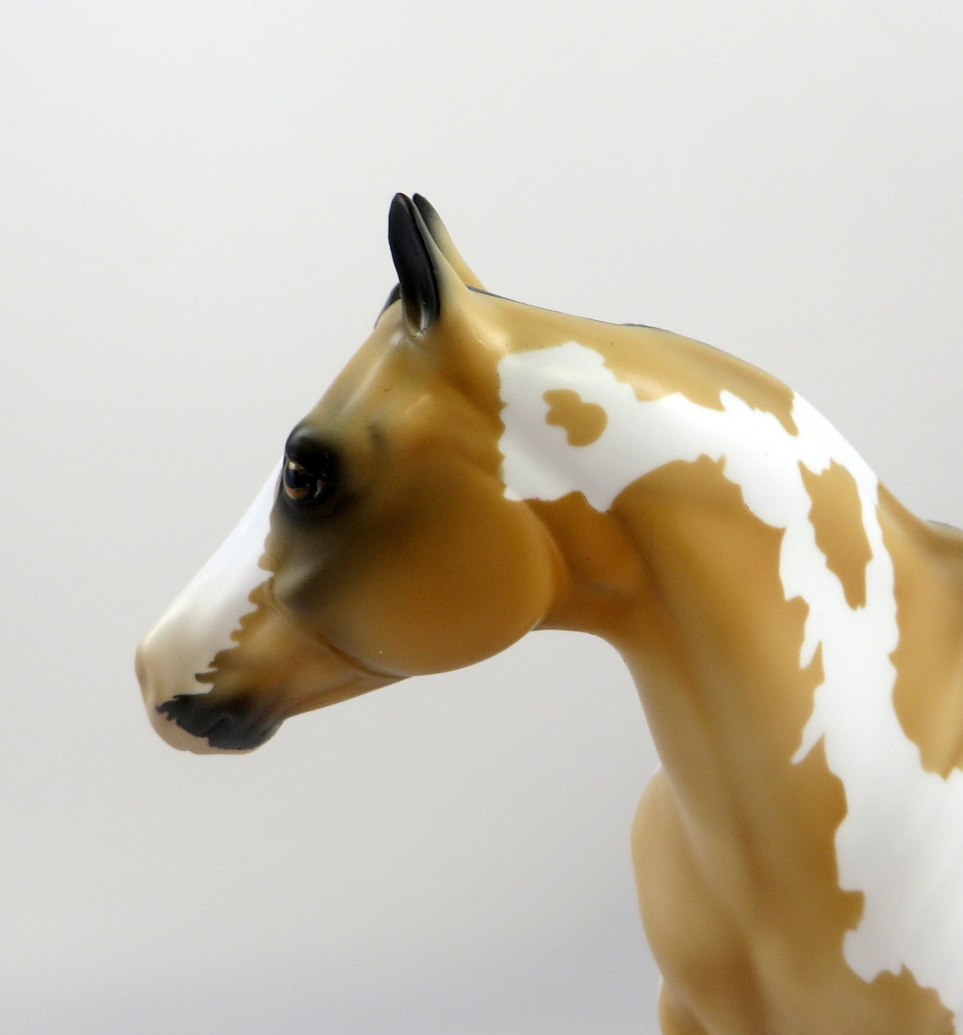 HAMON-OOAK BUCKSKIN OVERO ISH MODEL HORSE EQ 19