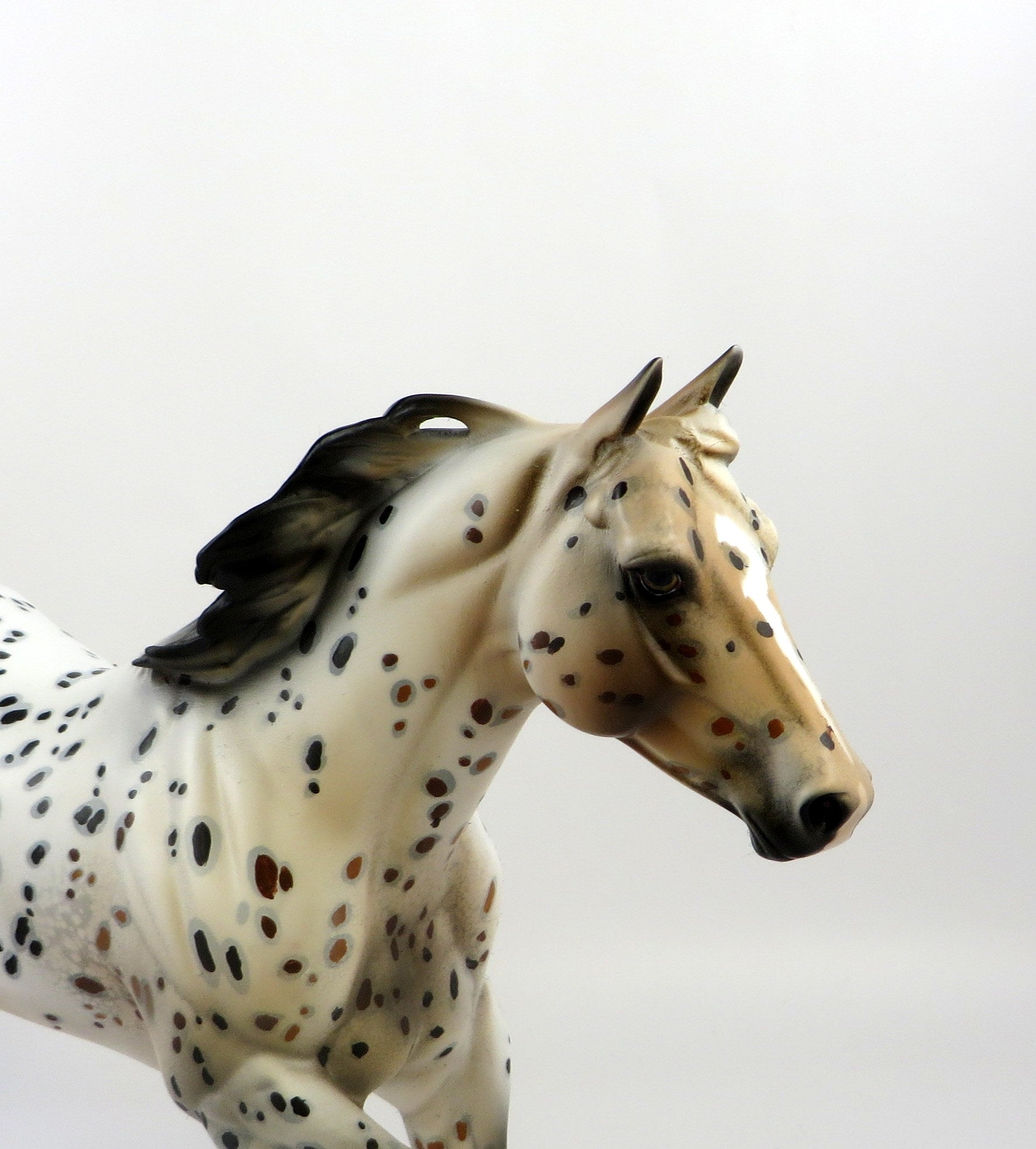HAMOND-OOAK BAY LOUD APPALOOSA MODEL HORSE BY DAWN QUICK EQ 19