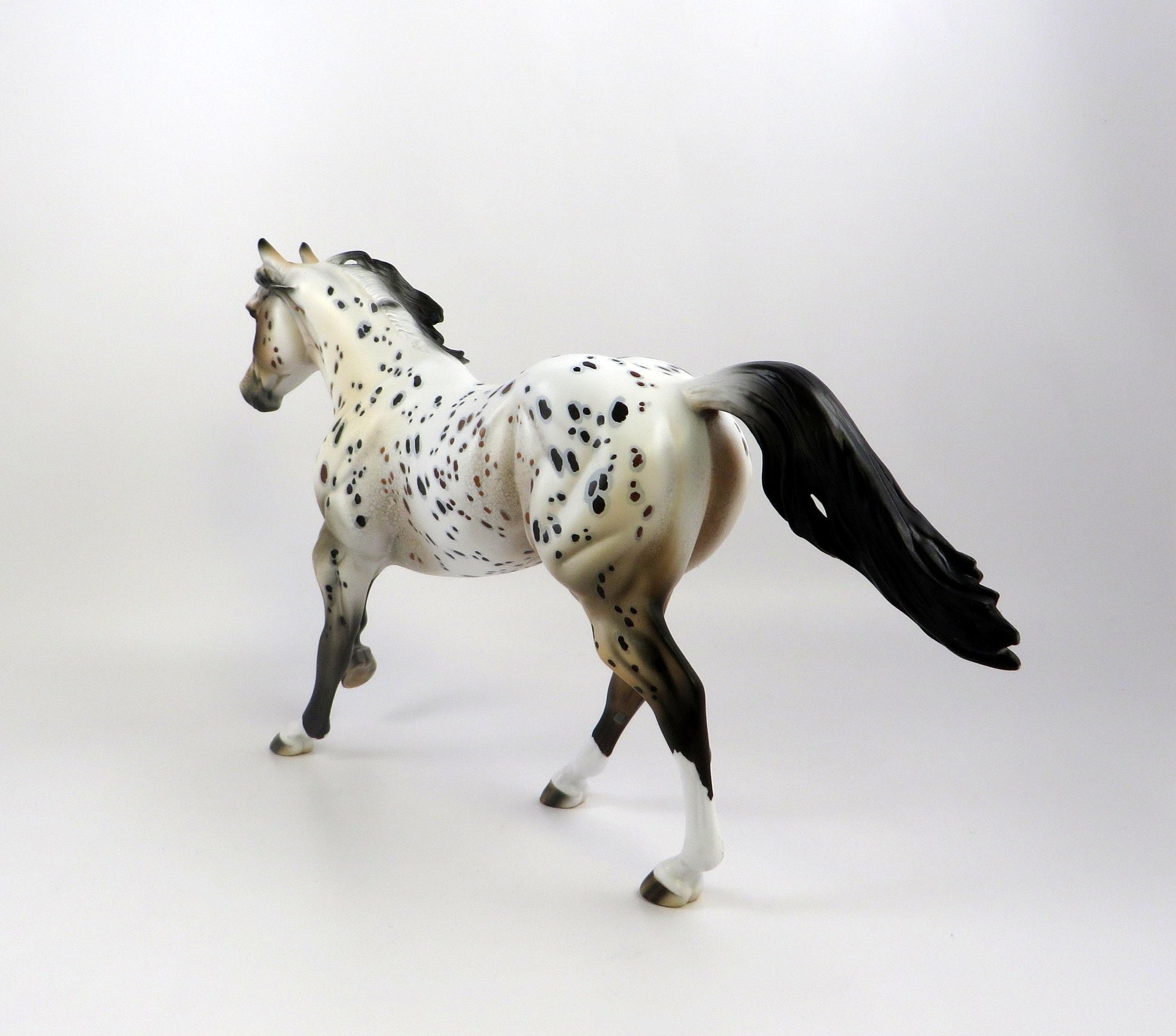 HAMOND-OOAK BAY LOUD APPALOOSA MODEL HORSE BY DAWN QUICK EQ 19