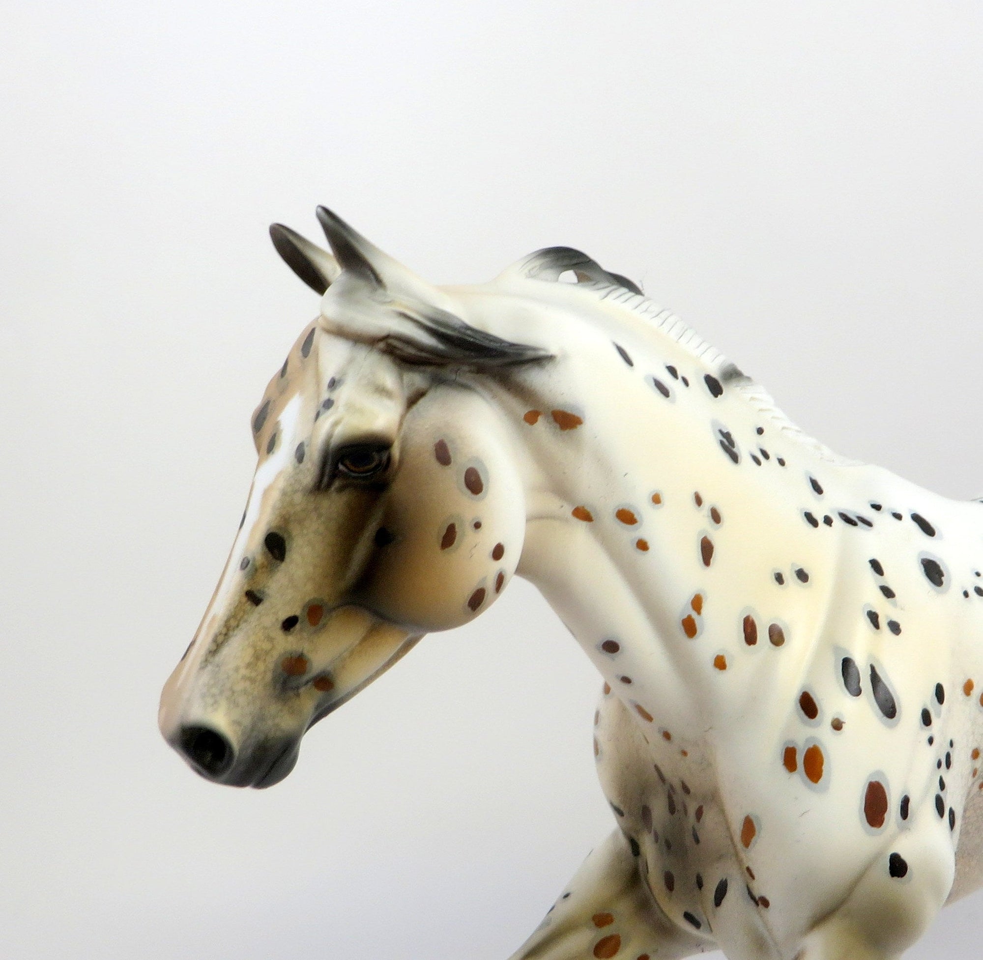 HAMOND-OOAK BAY LOUD APPALOOSA MODEL HORSE BY DAWN QUICK EQ 19