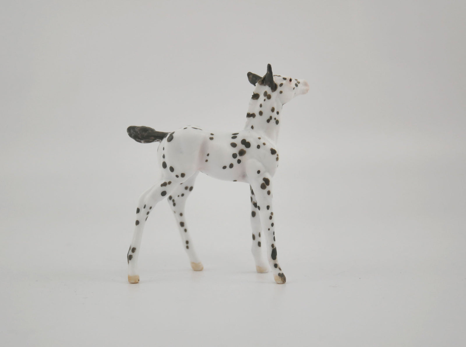Harmony-OOAK Foal Appaloosa Chip By Andrea MM 2020