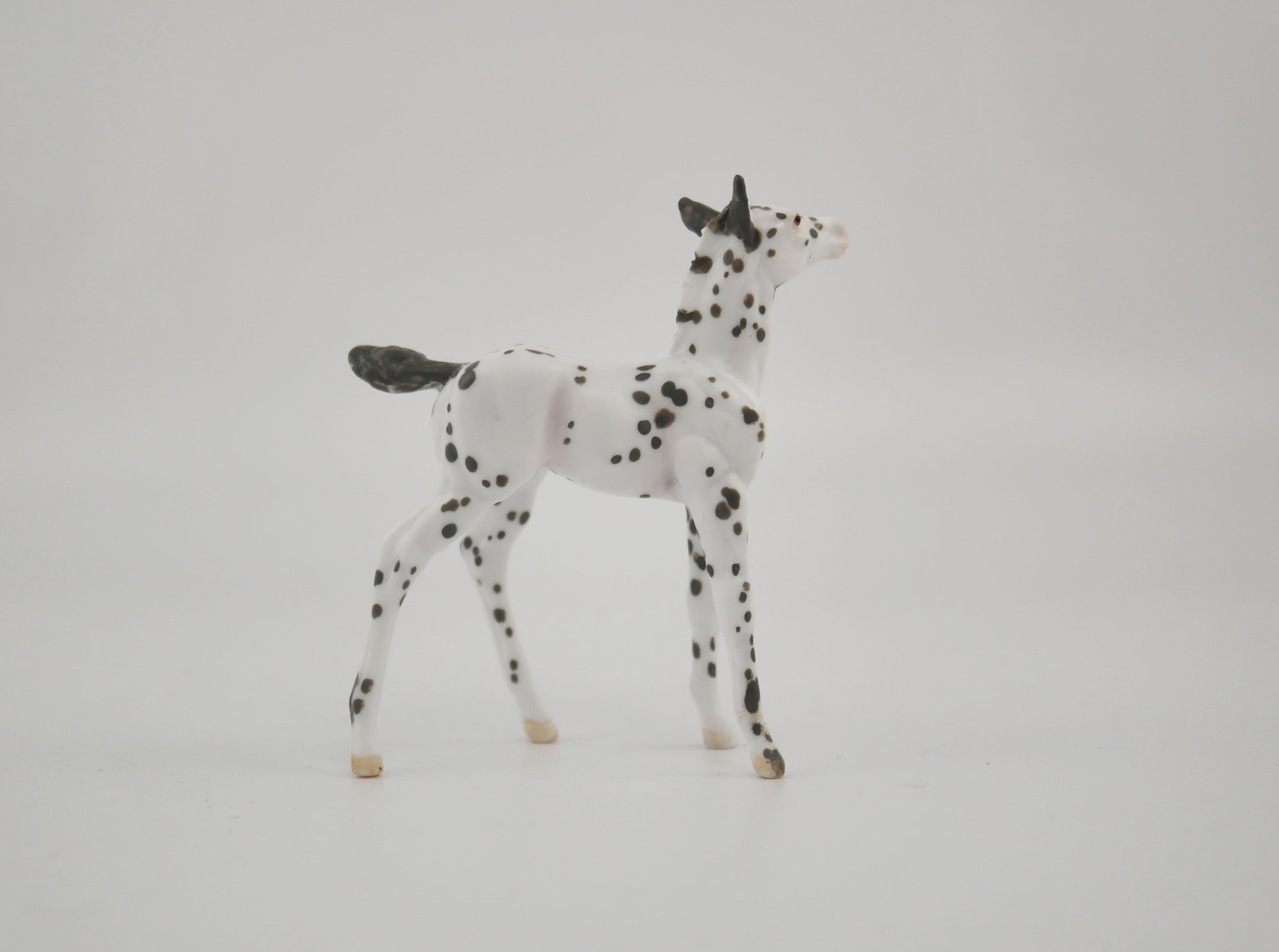 Harmony-OOAK Foal Appaloosa Chip By Andrea MM 2020