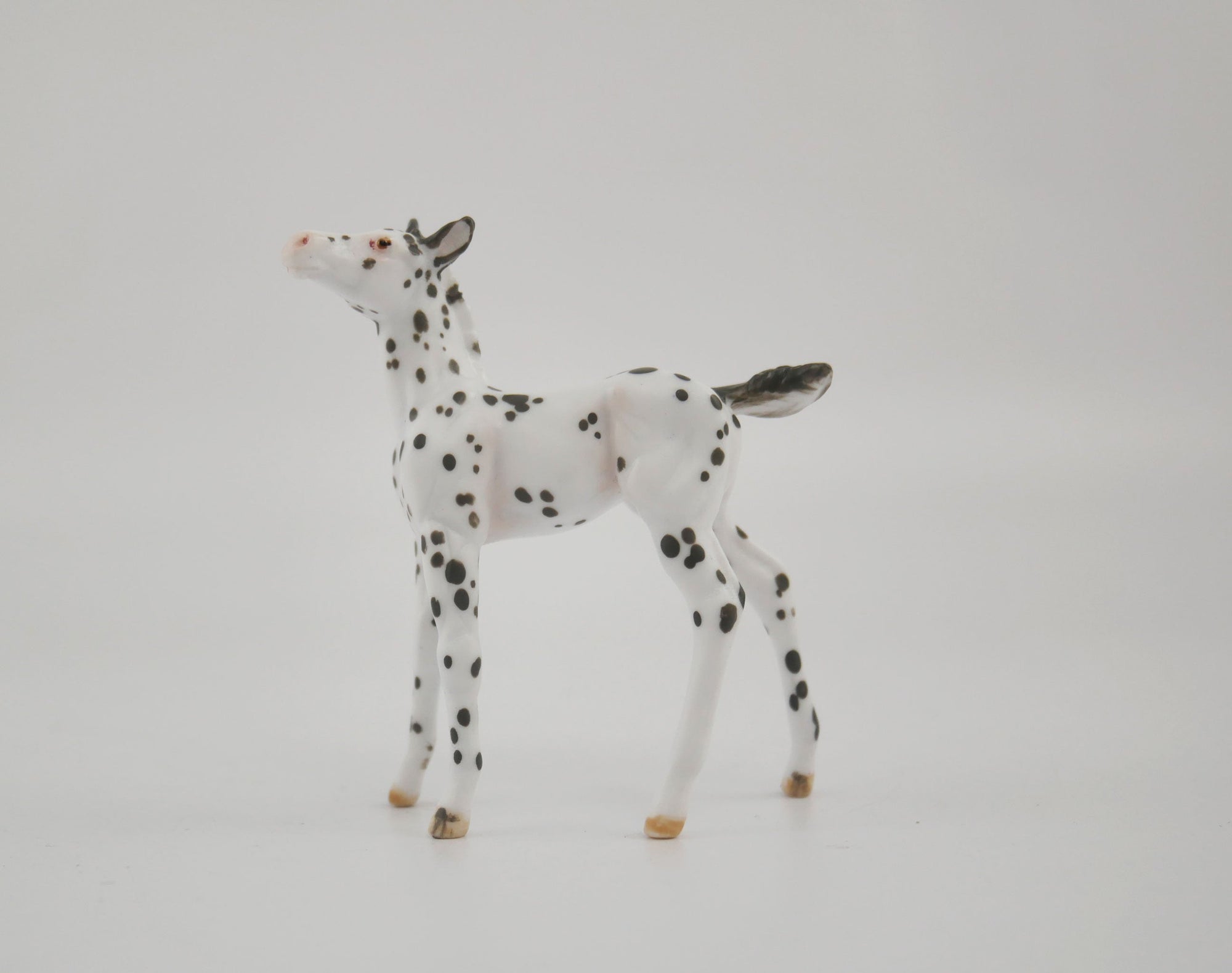 Harmony-OOAK Foal Appaloosa Chip By Andrea MM 2020
