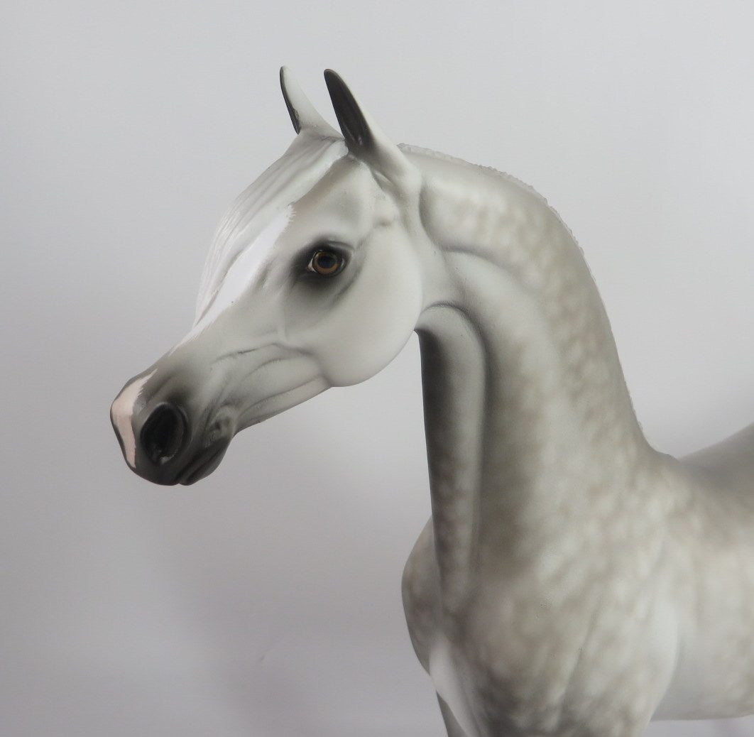 HARPER-OOAK STAR DAPPLE GREY ARABIAN MODEL HORSE BY SHERYL LEISURE WHS 19