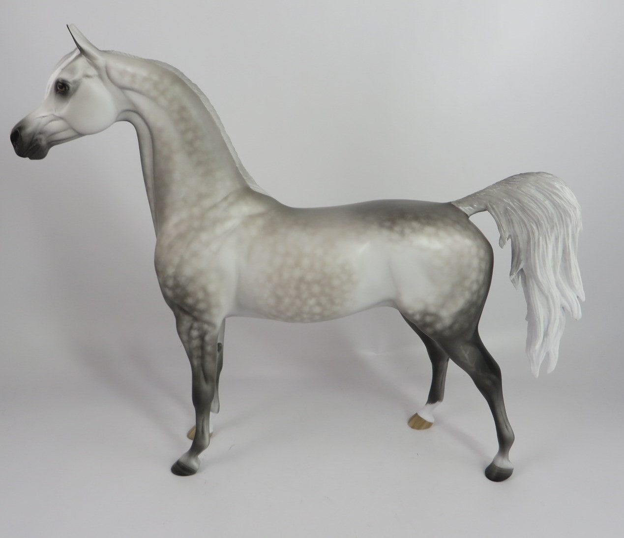 HARPER-OOAK STAR DAPPLE GREY ARABIAN MODEL HORSE BY SHERYL LEISURE WHS 19