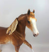 HARVEST QUEEN -OOAK CHESTNUT SABINO  ARABIAN MARE LHS 2019