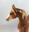 HARVEST QUEEN -OOAK CHESTNUT SABINO  ARABIAN MARE LHS 2019