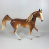 HARVEST QUEEN -OOAK CHESTNUT SABINO  ARABIAN MARE LHS 2019