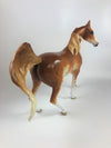 HARVEST QUEEN -OOAK CHESTNUT SABINO  ARABIAN MARE LHS 2019