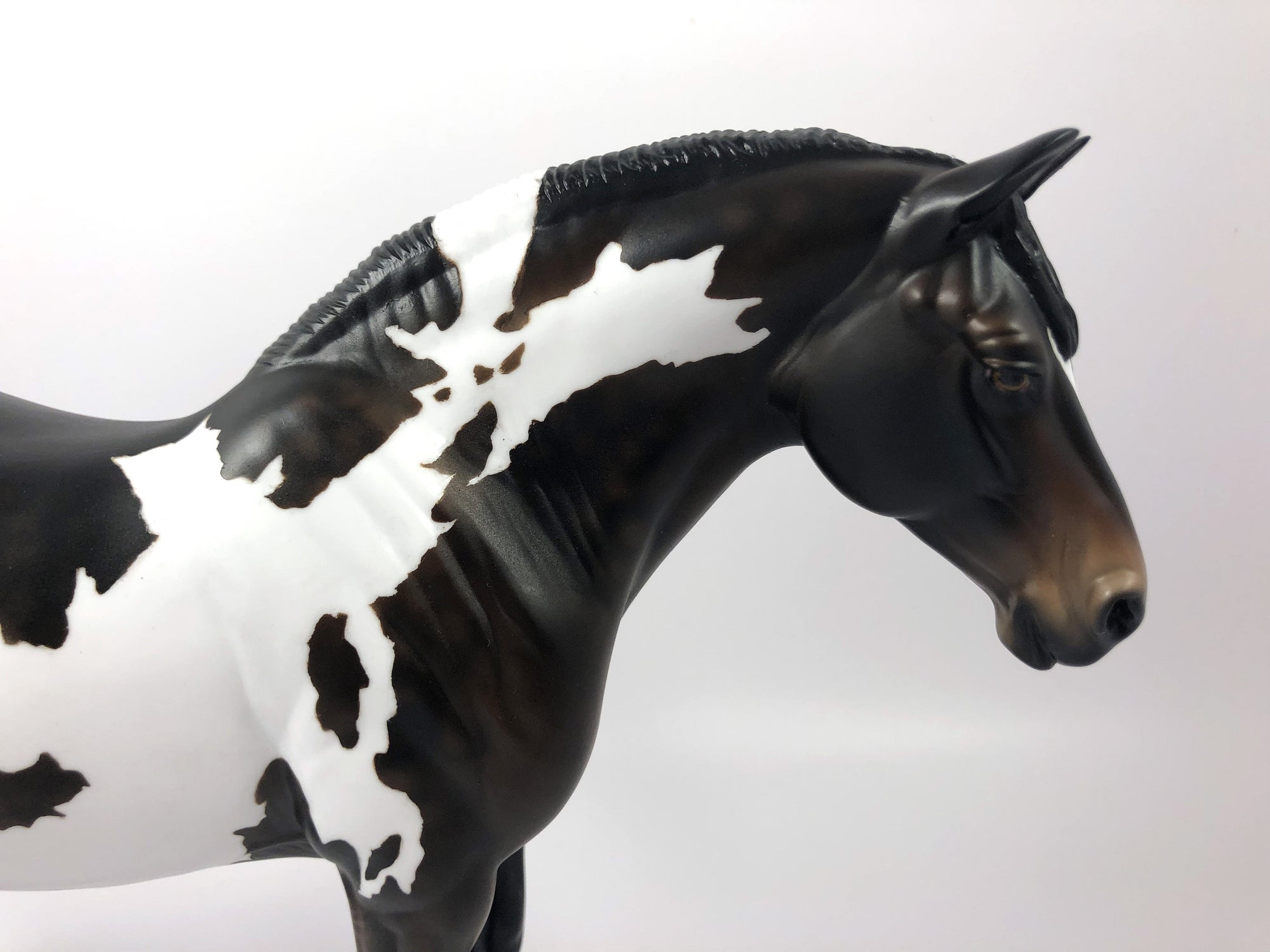 MAIA-OOAK- BAY PAINT HEAVY DRAFT MARE BY AUDREY DIXON SHCF 19