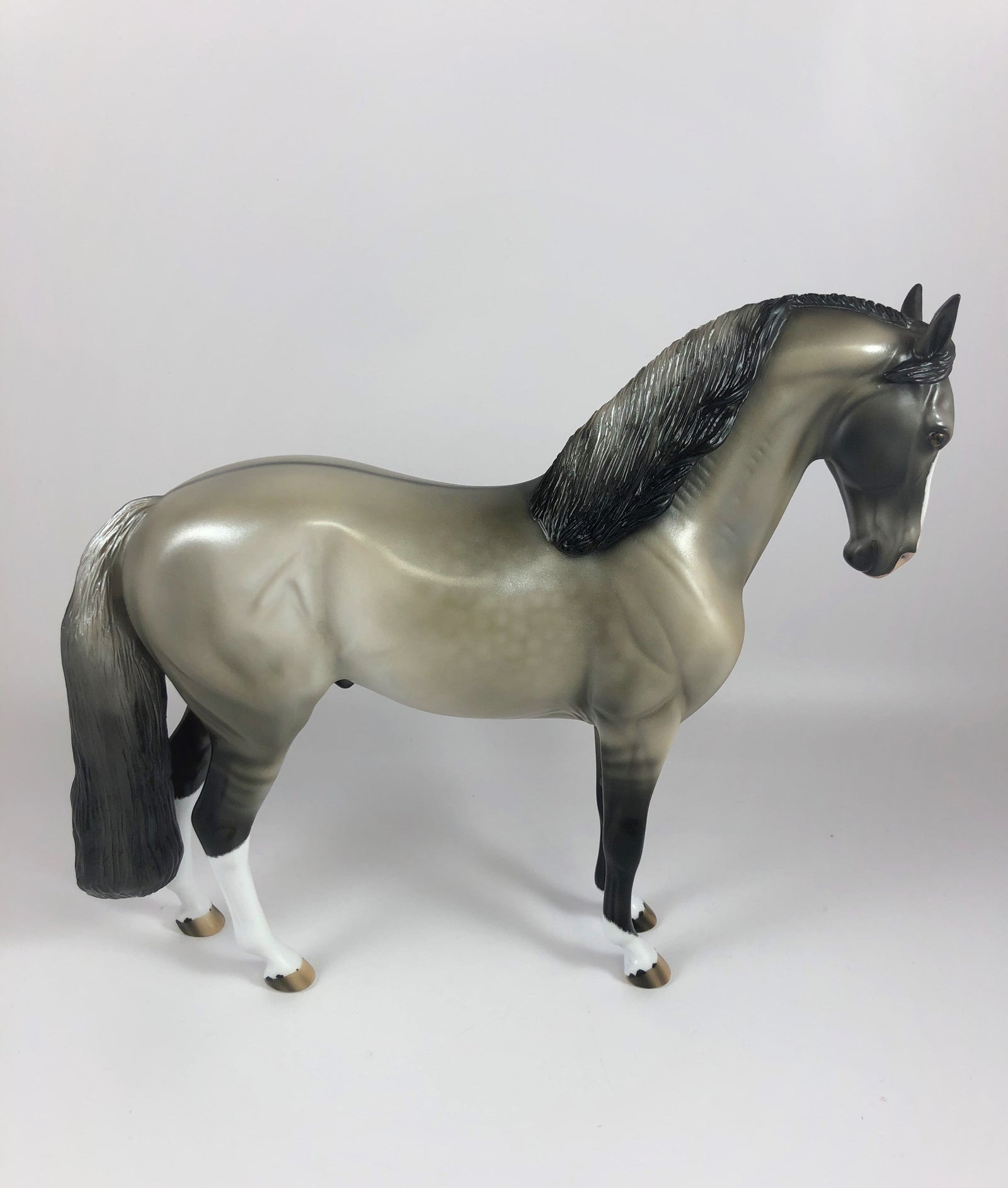 HECKLES -OOAK DAPPLE GRULLA  ANDALUSIAN MODEL HORSE BY AUDREY DIXON LHS 19
