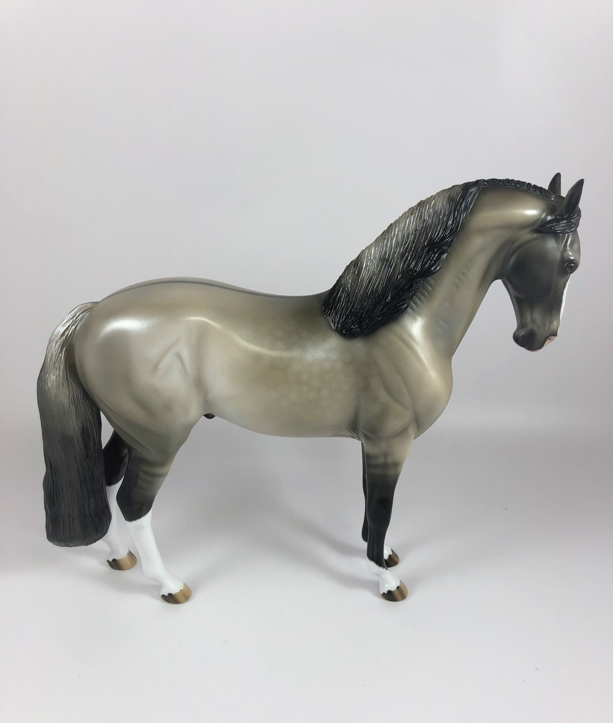 HECKLES -OOAK DAPPLE GRULLA  ANDALUSIAN MODEL HORSE BY AUDREY DIXON LHS 19